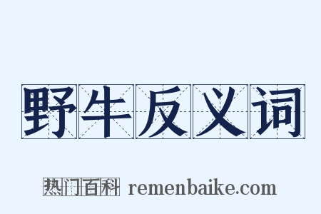 野牛反义词是什么意思的图片
